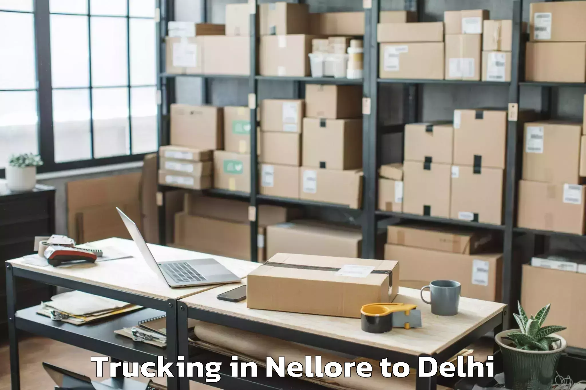 Hassle-Free Nellore to Chanakya Puri Trucking